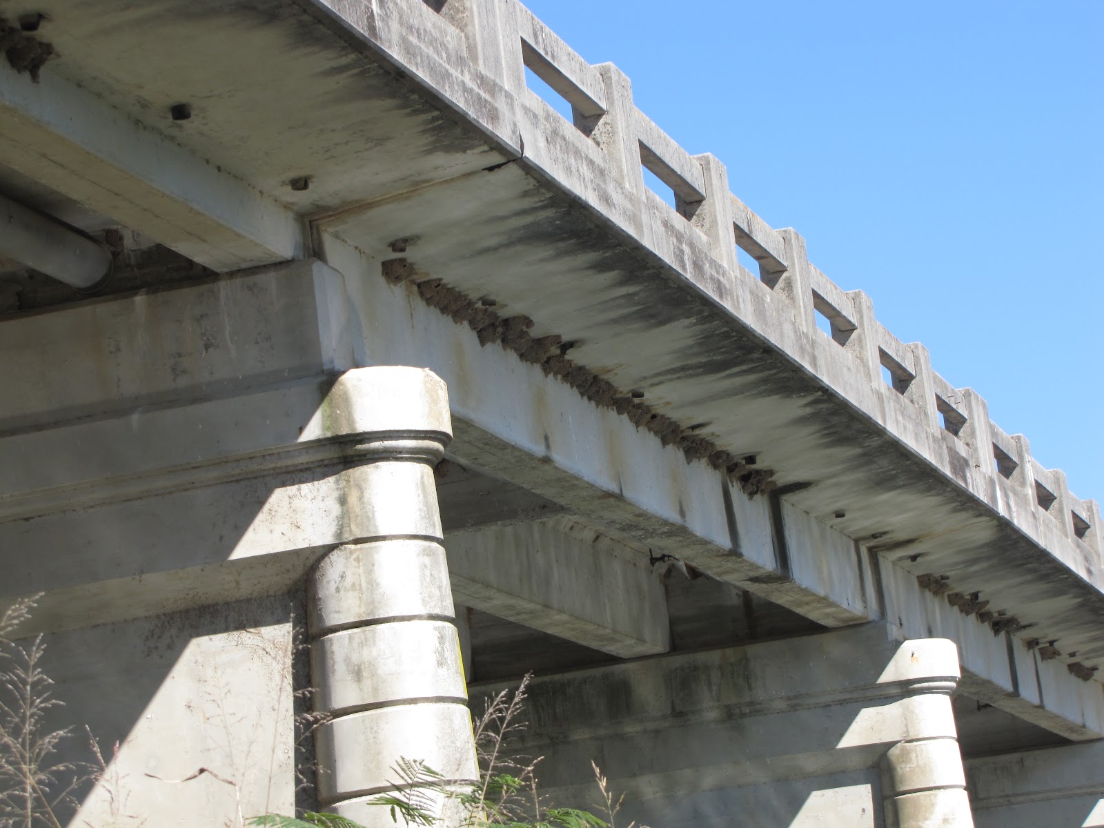 Nids d’hirondelles sous un pont nécessitant une intervention d’accès sous pont